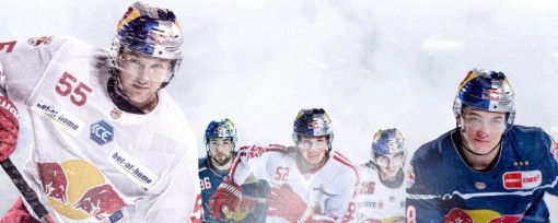 Red Bull Hockey Juniors - Alps Hockey League