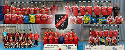 Handball Ilvesheim Damen