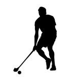Kadetten Unihockey Herren 2.Liga