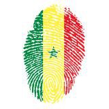 * Mauretanien - Senegal | WMQ Afrika | Gruppe B | 4. Spieltag