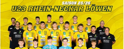 Die Junglöwen - 3. Liga - Spielplan