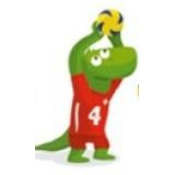 Kids Volley logo