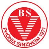 M-SL: BSV Phönix Sinzheim vs HSG Freiburg M-SL: BSV Phönix Sinzheim vs HSG Freiburg