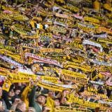 Mitglieder-VVK | Sachsenpokal VFC Plauen (A)