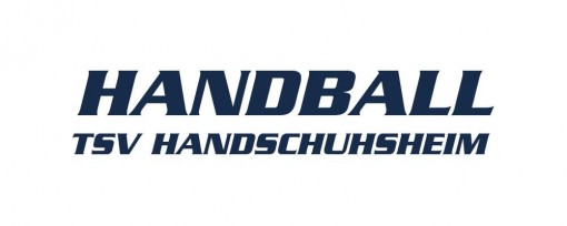 Handballakademie Heidelberg