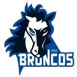 Logo Wipptal Broncos Weihenstephan