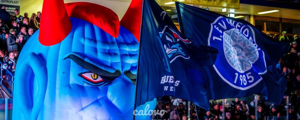 Blue Devils Weiden Spielplan 2025 2026
