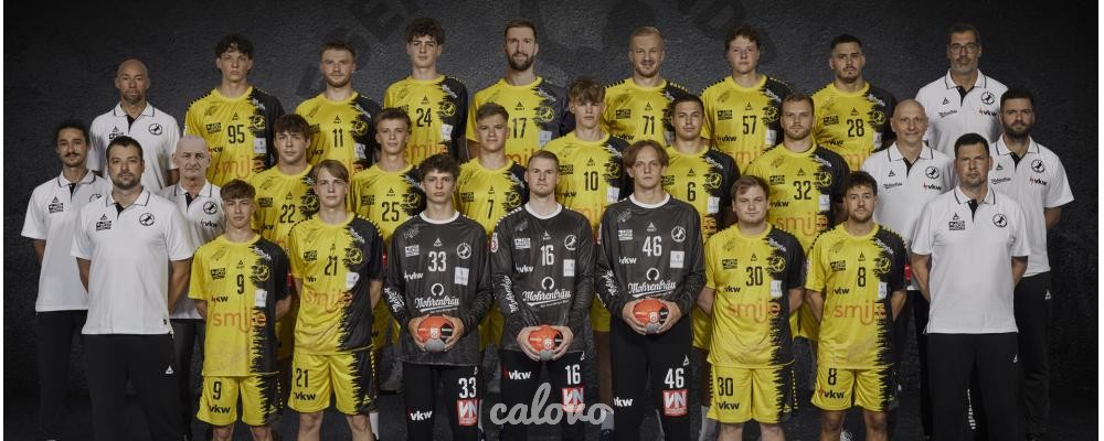 Bregenz Handball