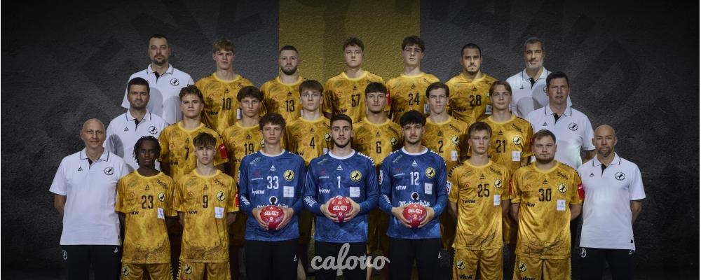 Bregenz Handball