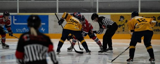 Stuttgart Rebels - Alle Eishockey-Spiele