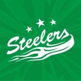 Bietigheim Steelers vs Düsseldorfer EG