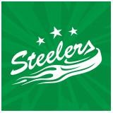 Bietigheim Steelers